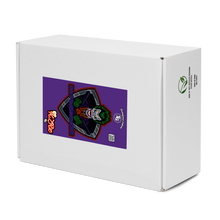 Load image into Gallery viewer, 2K24 Female MrFluGame32 Dedication KZRz