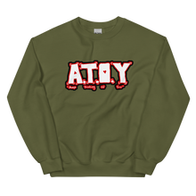 Load image into Gallery viewer, A T.O.Y Sweatshirt